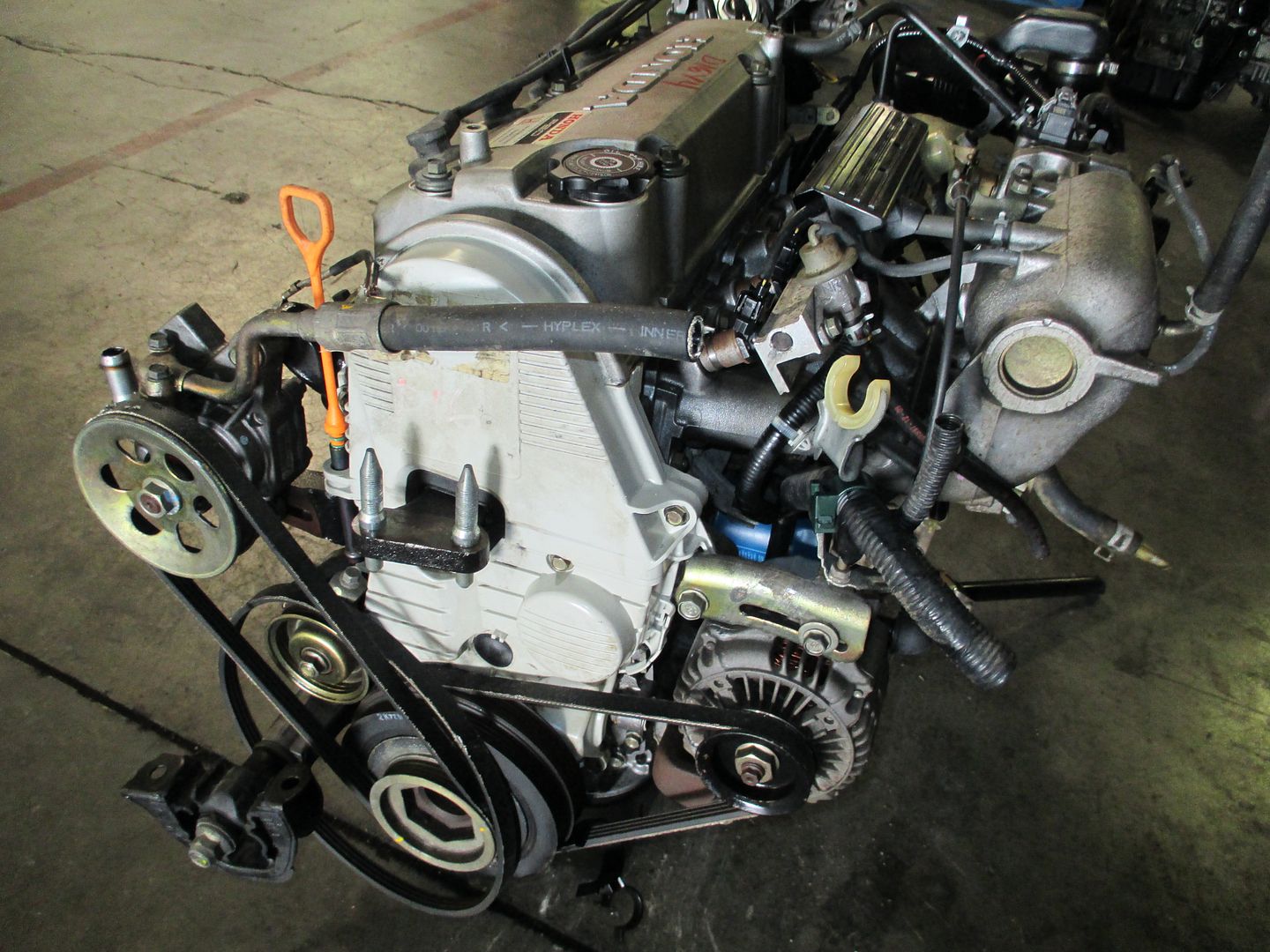 Purchase Honda Civic JDM D16Y4 SOHC Non Vtec Egnine Motor Long BLock 1.